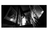 collector